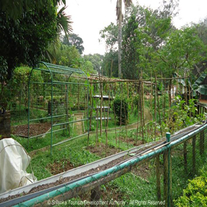 Henarathgoda Botanical Garden 